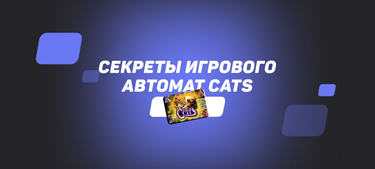 Cекреты игрового автомат Cats
